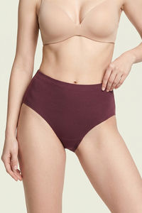 Zivame Medium Rise Full Coverage Hipster Panty (Pack of 3) - Multicolor — thumbnail 2
